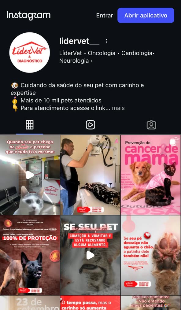 Perfil @lidervet__ no Instagram