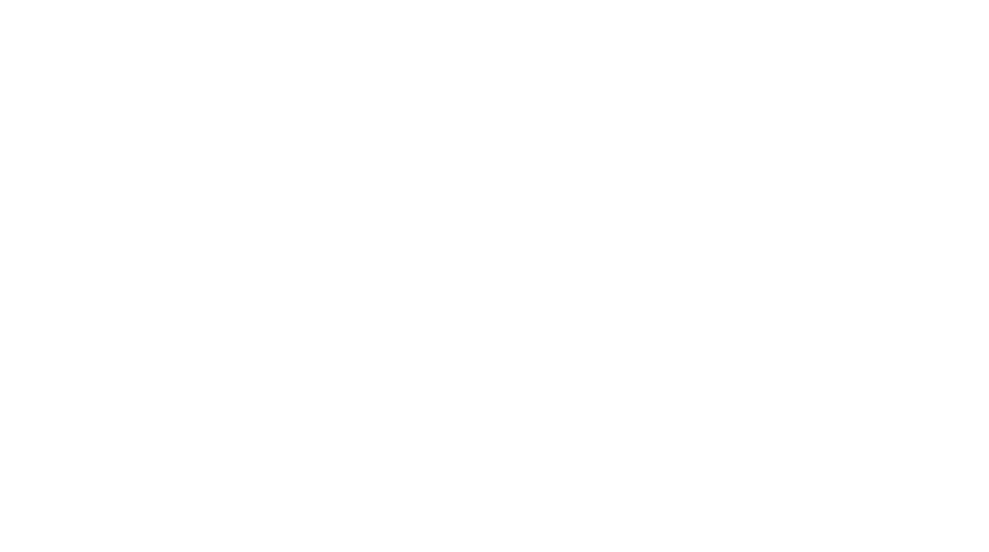 LíderVet & Diagnóstico